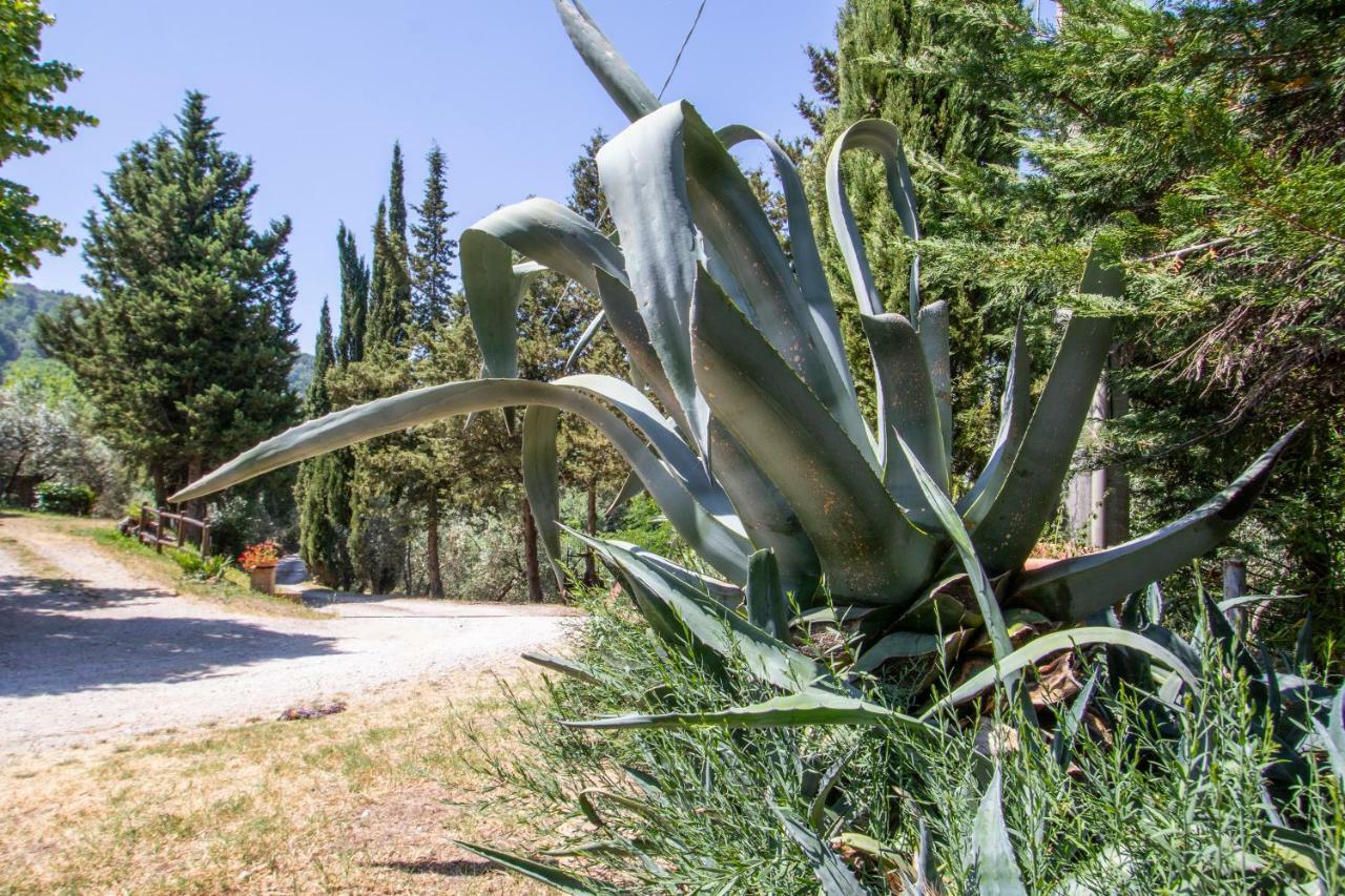 Agriturismo Filettro Volterra Eksteriør billede