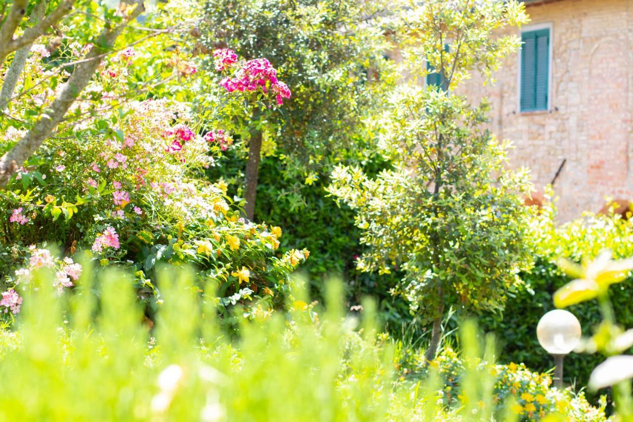 Agriturismo Filettro Volterra Eksteriør billede