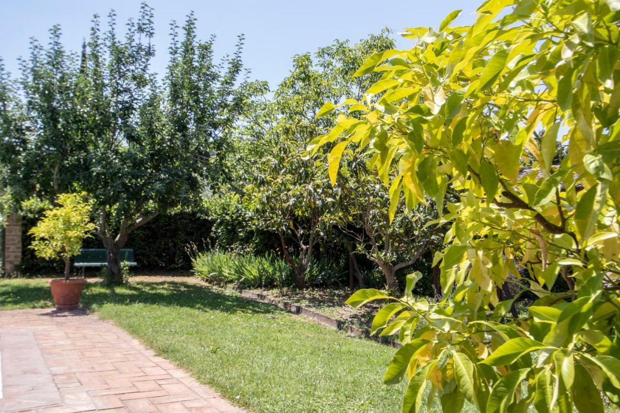 Agriturismo Filettro Volterra Eksteriør billede