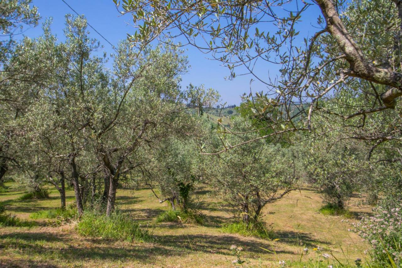 Agriturismo Filettro Volterra Eksteriør billede