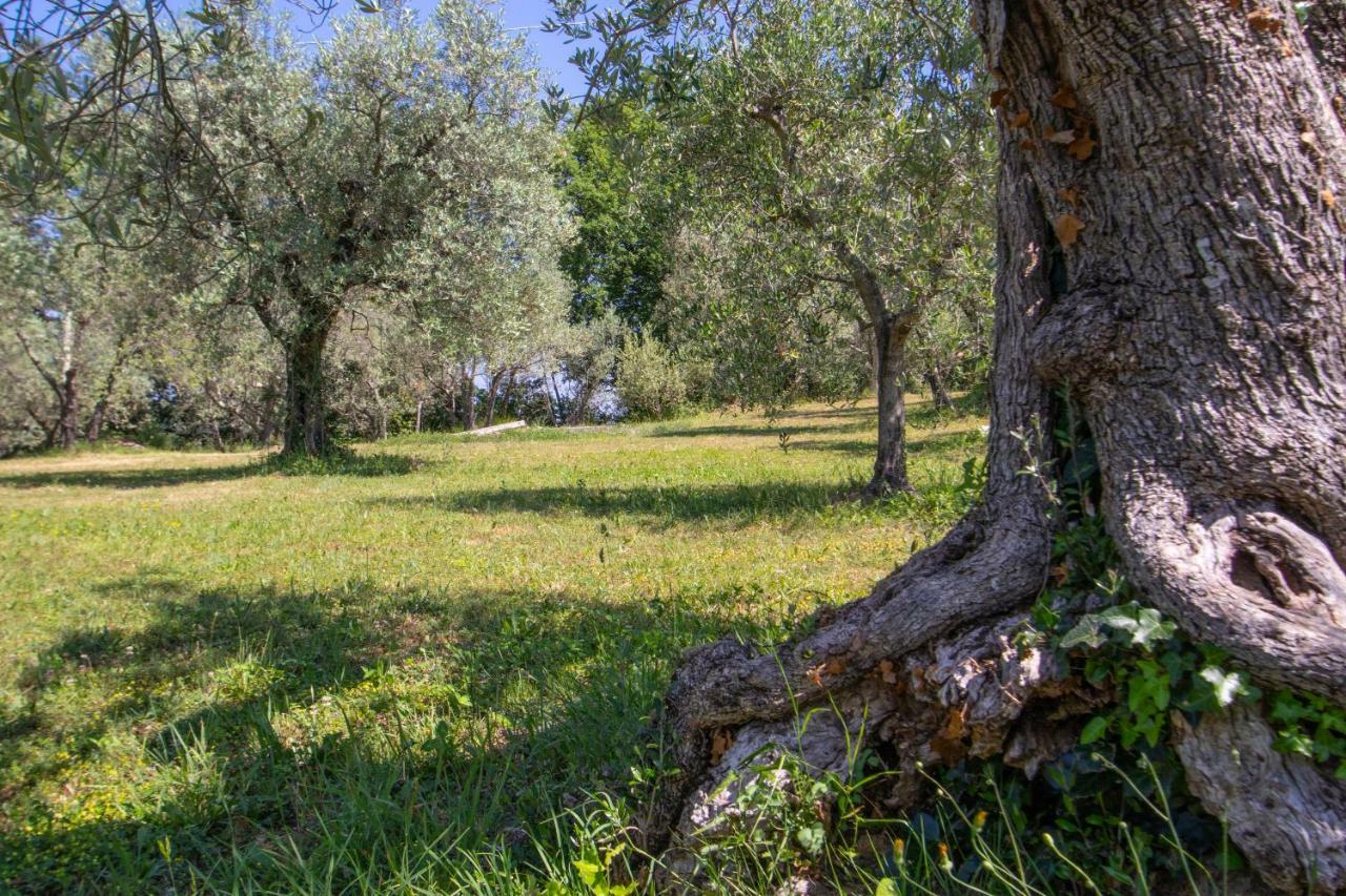 Agriturismo Filettro Volterra Eksteriør billede